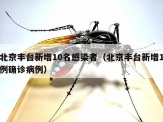 北京丰台新增10名感染者（北京丰台新增1例确诊病例）