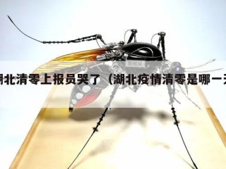 湖北清零上报员哭了（湖北疫情清零是哪一天）