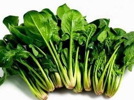 菲律宾菠菜网最新版本V19.13.228.278苹果版本-好用