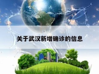 关于武汉新增确诊的信息