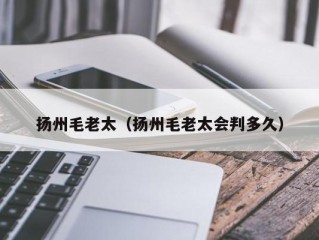 扬州毛老太（扬州毛老太会判多久）